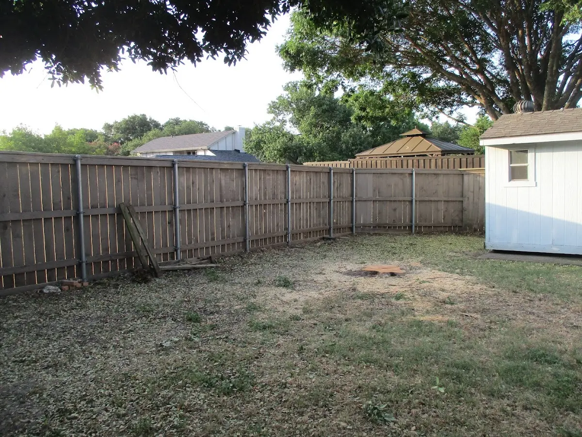 Cleared yard after professional tree removal in Waynesburg